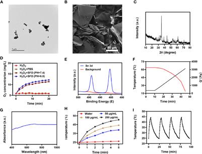 SnFe2O4 Nanozyme Based TME Improvement System for Anti-Cancer Combination Thermoradiotherapy